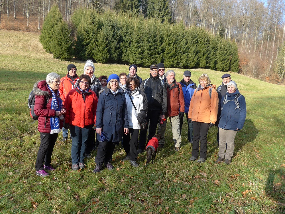 Mehr über den Artikel erfahren Wanderung „Den Böllbach aufwärts“