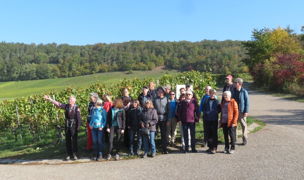 You are currently viewing Wanderung „Durch die Weinberge bei Hohenhaslach“