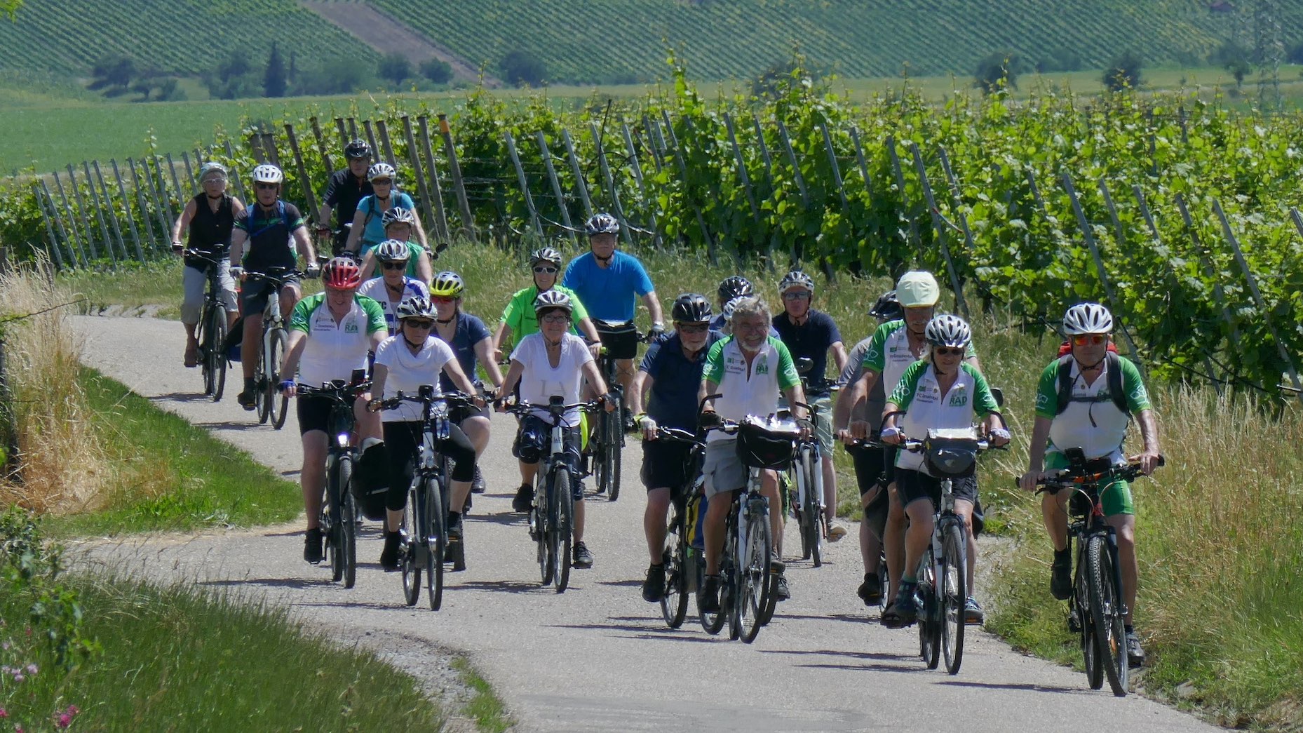 Read more about the article Die Genussradler um und auf dem Heuchelberg