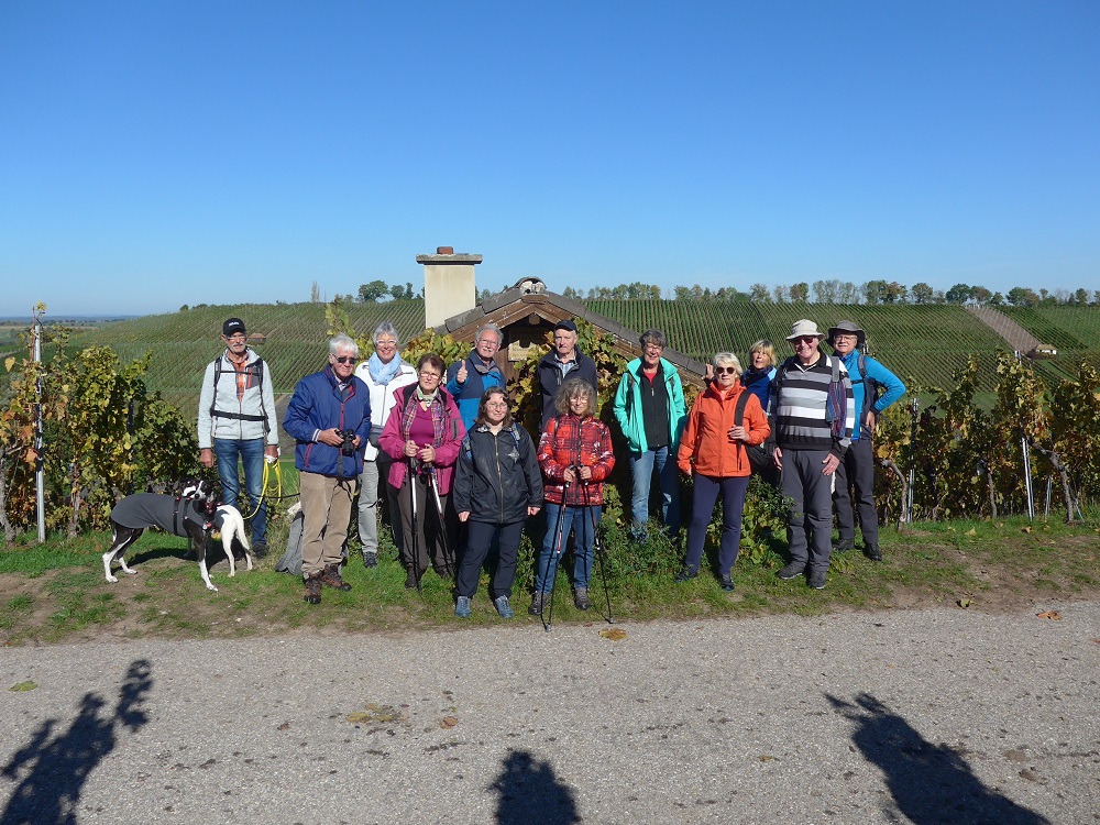 Du betrachtest gerade Wanderung „Durch die Weinberge bei Bretzfeld“