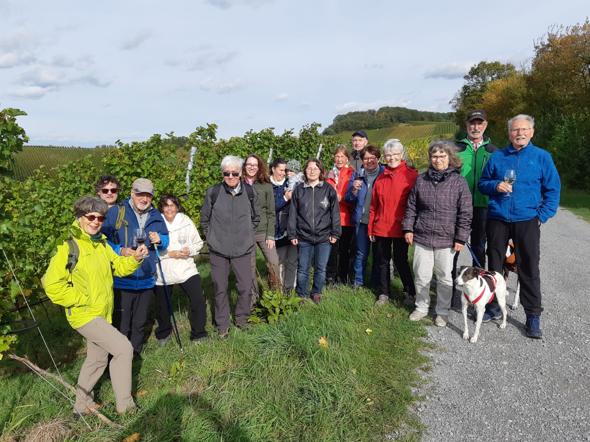 Read more about the article Wanderung „Durch die Weinberge bei Michelbach/Wald“